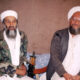 ibrahim-bin-laden